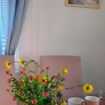 Chromata Means Colorful For A Much-needed Sunny Escape, Check Your Stay! *